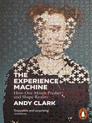 cover image of The Experience Machine
